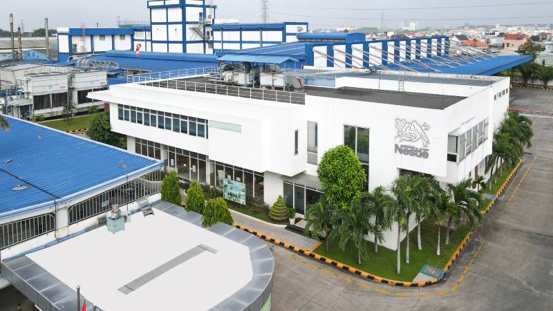 Bình An Factory New 2025