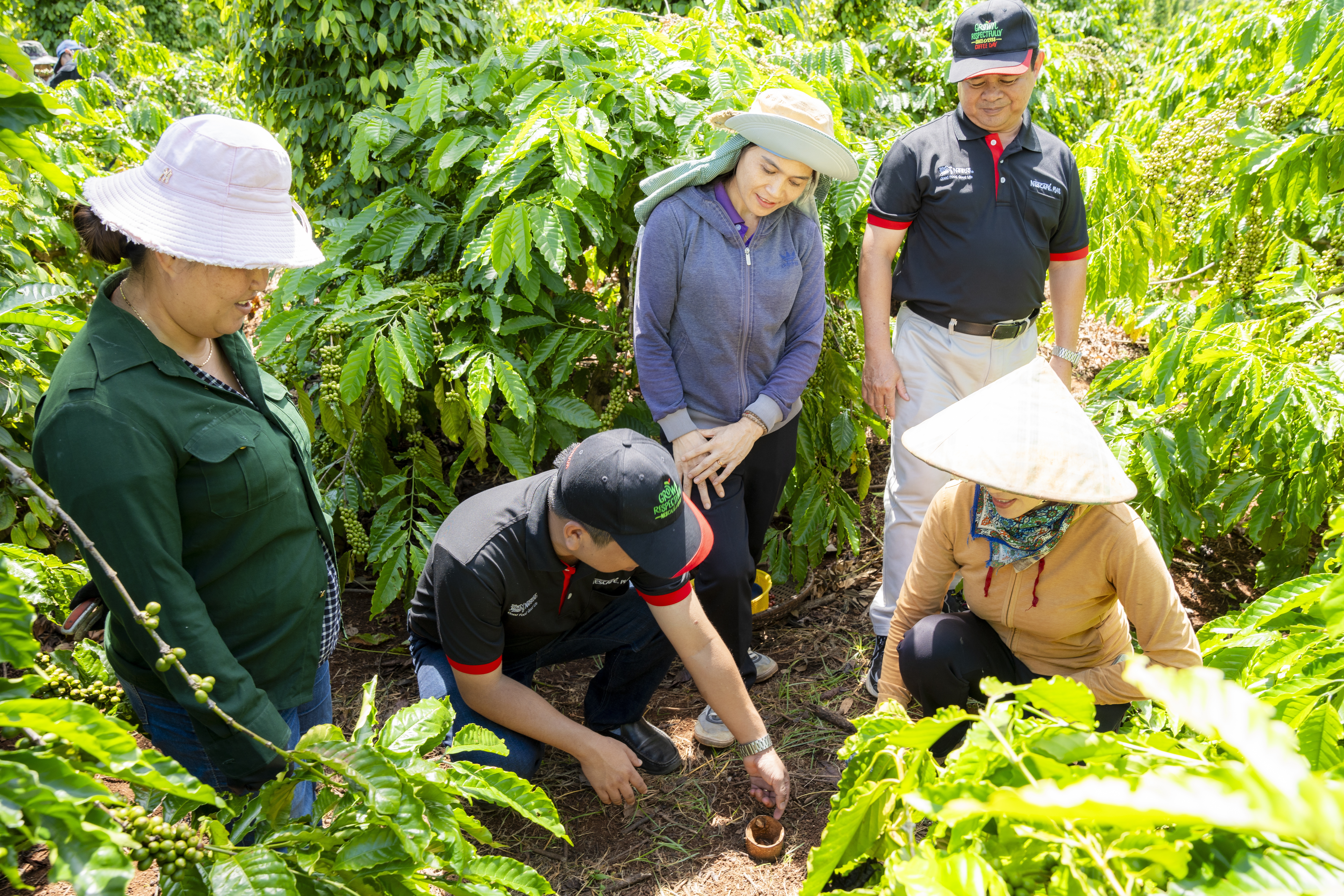 Cán bộ hỗ trợ nông nghiệp của Nestlé Việt Nam hướng dẫn nông dân trồng cà phê thực hành canh tác nông nghiệp