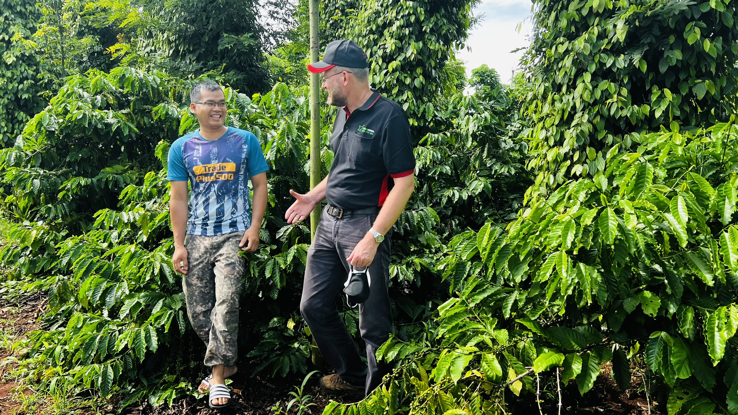 Chương trình Agripreneurship-Nescafé Plan không những giúp cải thiện sinh kế mà còn giúp trang bị những kiến thức khoa học về