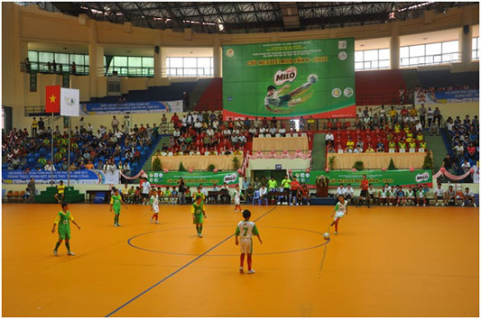 2hội khỏe phù đổng cúp MILO 2012