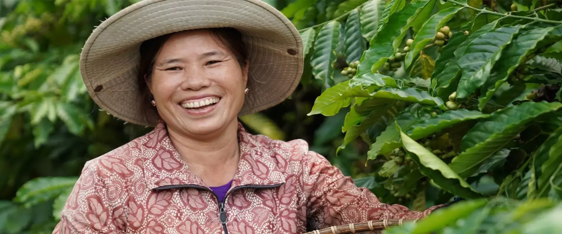Nestlé hành động chống biến đổi khí hậu