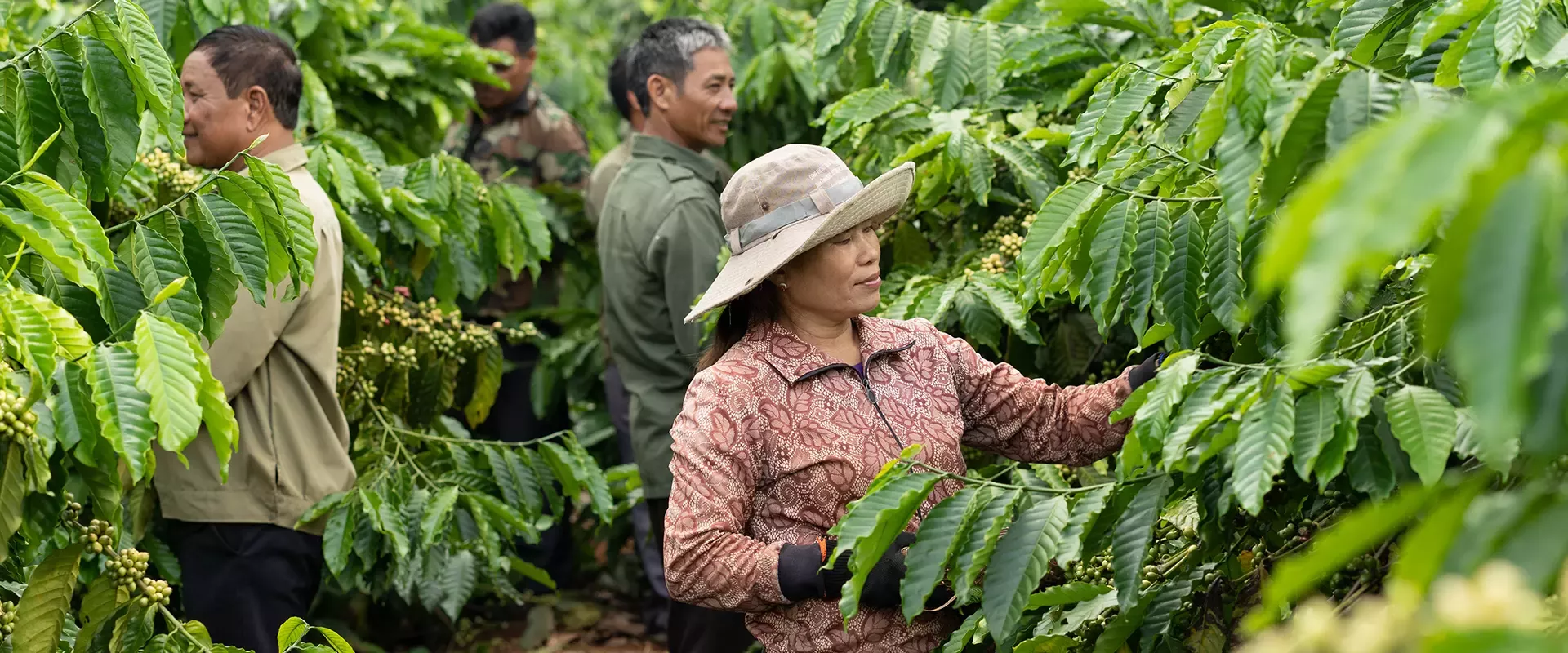 Cho loài người và hành tinh
