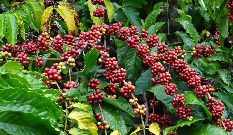 Khám phá thêm về các nhãn hàng của chúng tôi