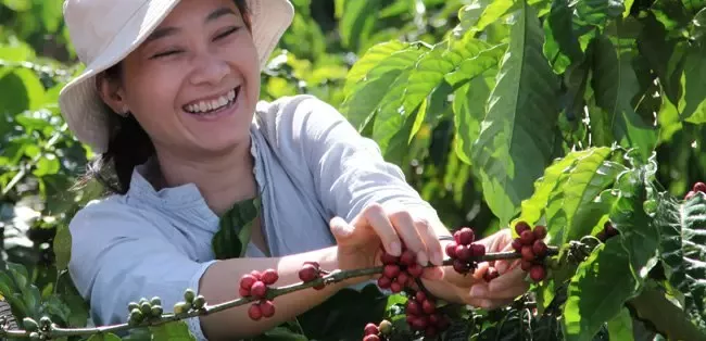 2Cuộc sống tốt đẹp