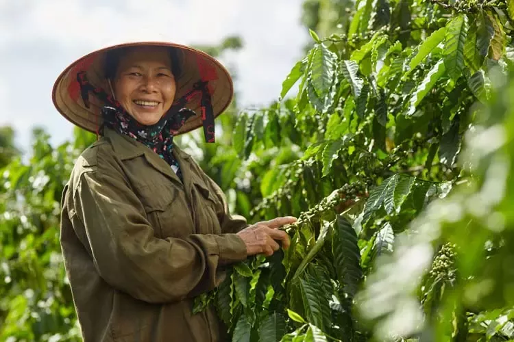3Giải thưởng về Trao Quyền cho Phụ Nữ