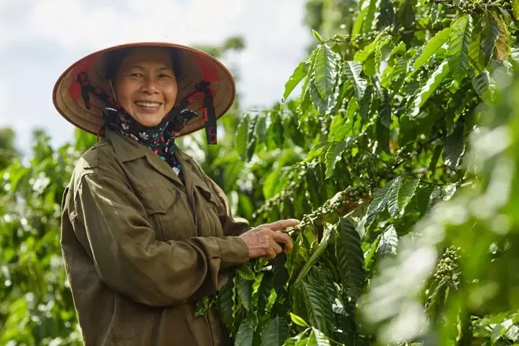 4Hợp tác thúc đẩy Bình đẳng giới và quyền năng Phụ Nữ