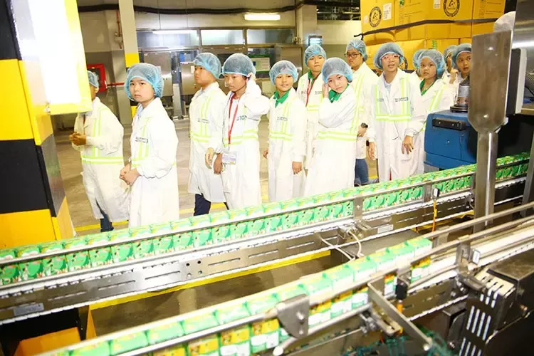 3Nestlé đồng hành cùng mGreen