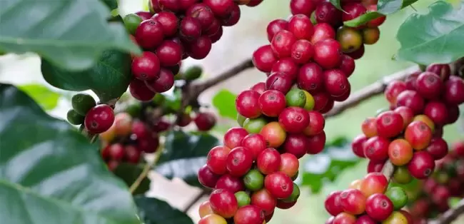 3Cuộc sống tốt đẹp