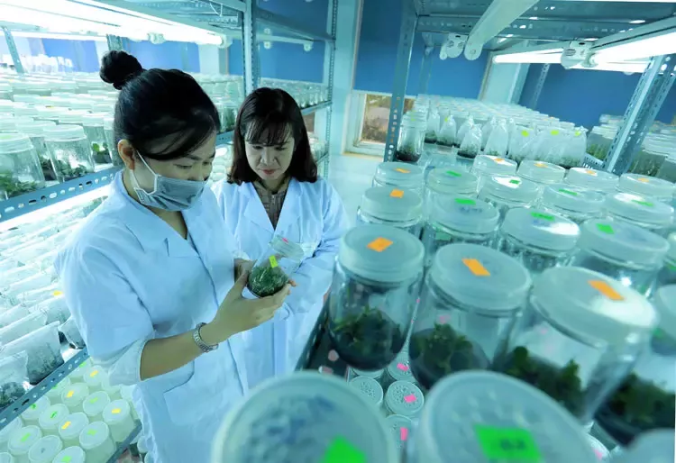 Mục Tiêu Hoàn Trả 100% Lượng Nước Dùng Trong Sản Xuất Năm 2025