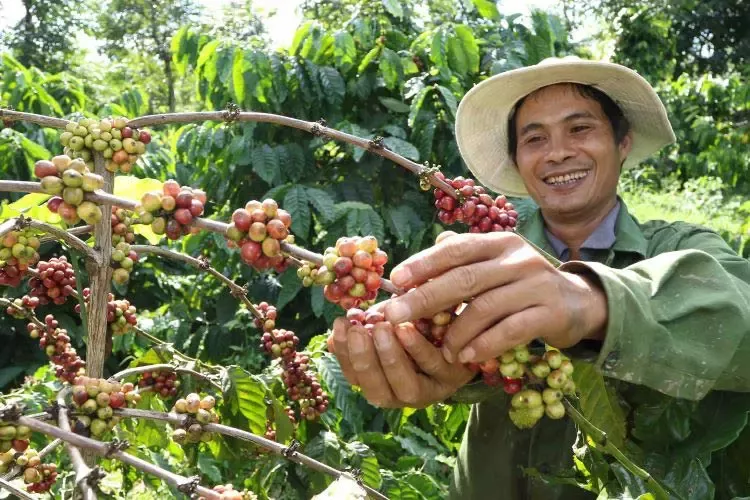 5Nestlé vinh dự đón nhận bằng khen của Thủ tướng Chính phủ
