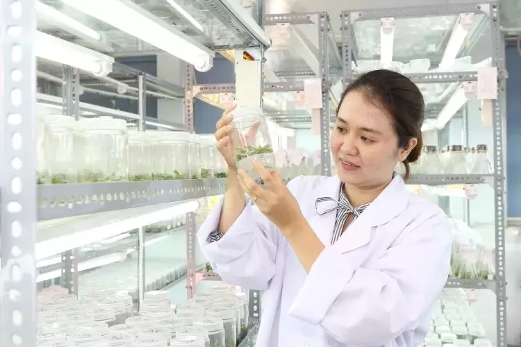 La Vie và Nestlé Việt Nam chung tay quản lý nguồn nước, giảm thiệt hại từ hạn mặn
