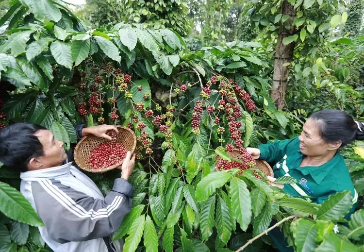 Vinh danh doanh nghiệp bền vững nhất Việt Nam 5