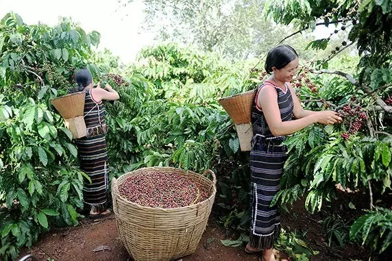 Dẫn đầu thực hiện hiệp ước toàn cầu Liên Hiệp Quốc