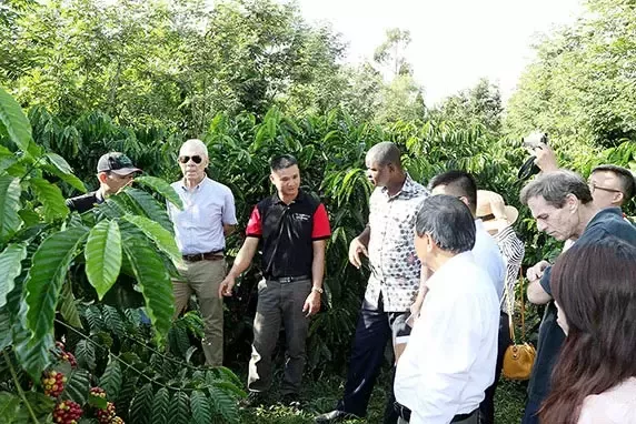Nescafé plan gắn kết với nông dân vì chất lượng cà phê Việt
