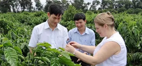 Nestlé hỗ trợ Việt Nam phát triển ngành công nghiệp cà phê